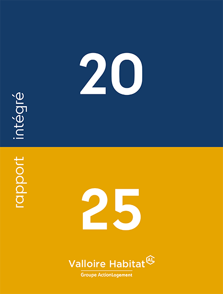 rapport intégré 2023